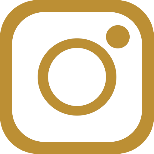 Instagram Icon
